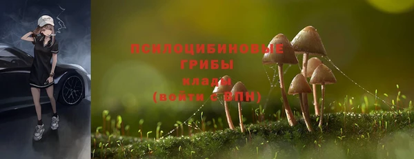 apvp Куйбышев