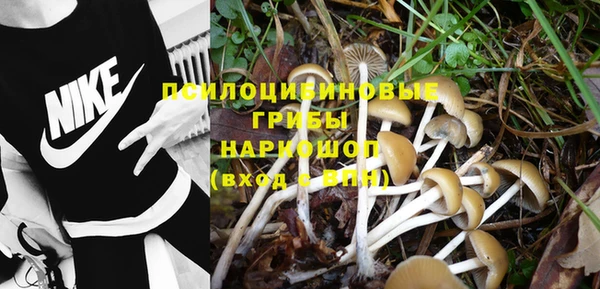 spice Лабытнанги