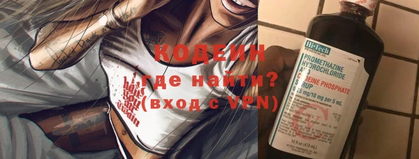 мет Ладушкин