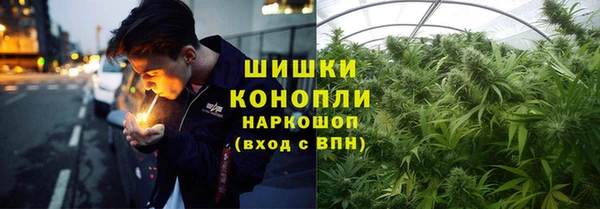 гидропоника Кулебаки