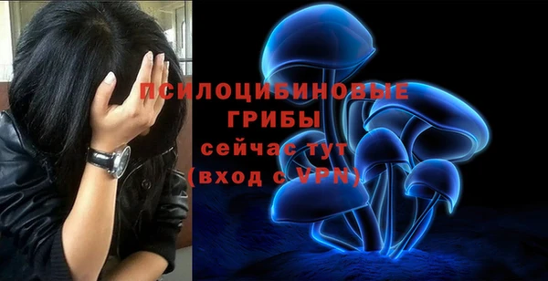 прущий лед Кукмор